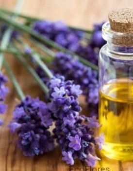 Olejek lawendowy