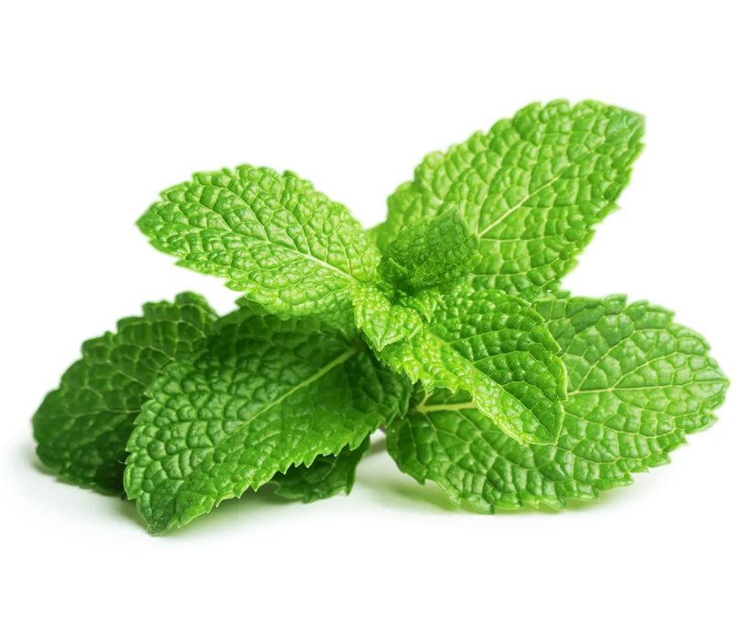 Olejek z mięty pieprzowej