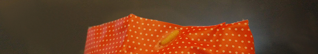 larwa mola spożywczego na opakowaniu