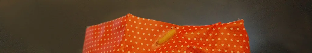 larwa mola spożywczego na opakowaniu